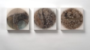 Installation View, Frill Series