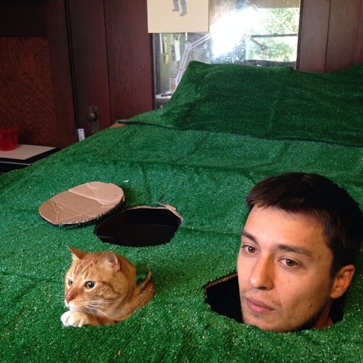 1516209_586522471429040_78980653_n